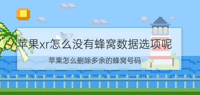 苹果xr怎么没有蜂窝数据选项呢 苹果怎么删除多余的蜂窝号码？